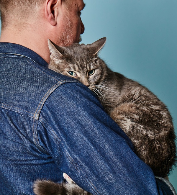 Essential cat outlet supplies